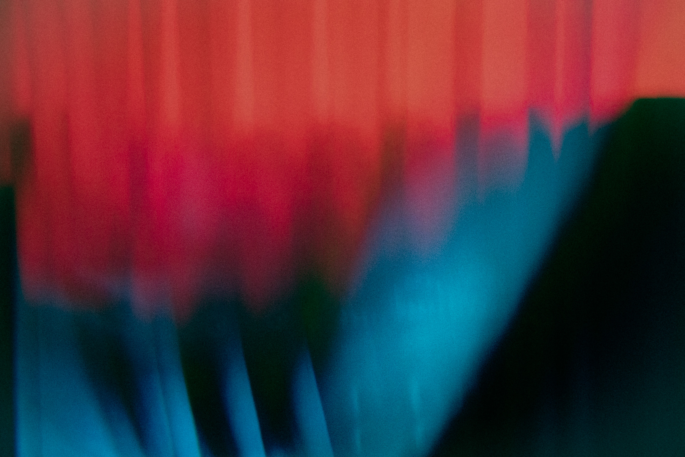 Coco / Atmosphere - repetition exhibition.