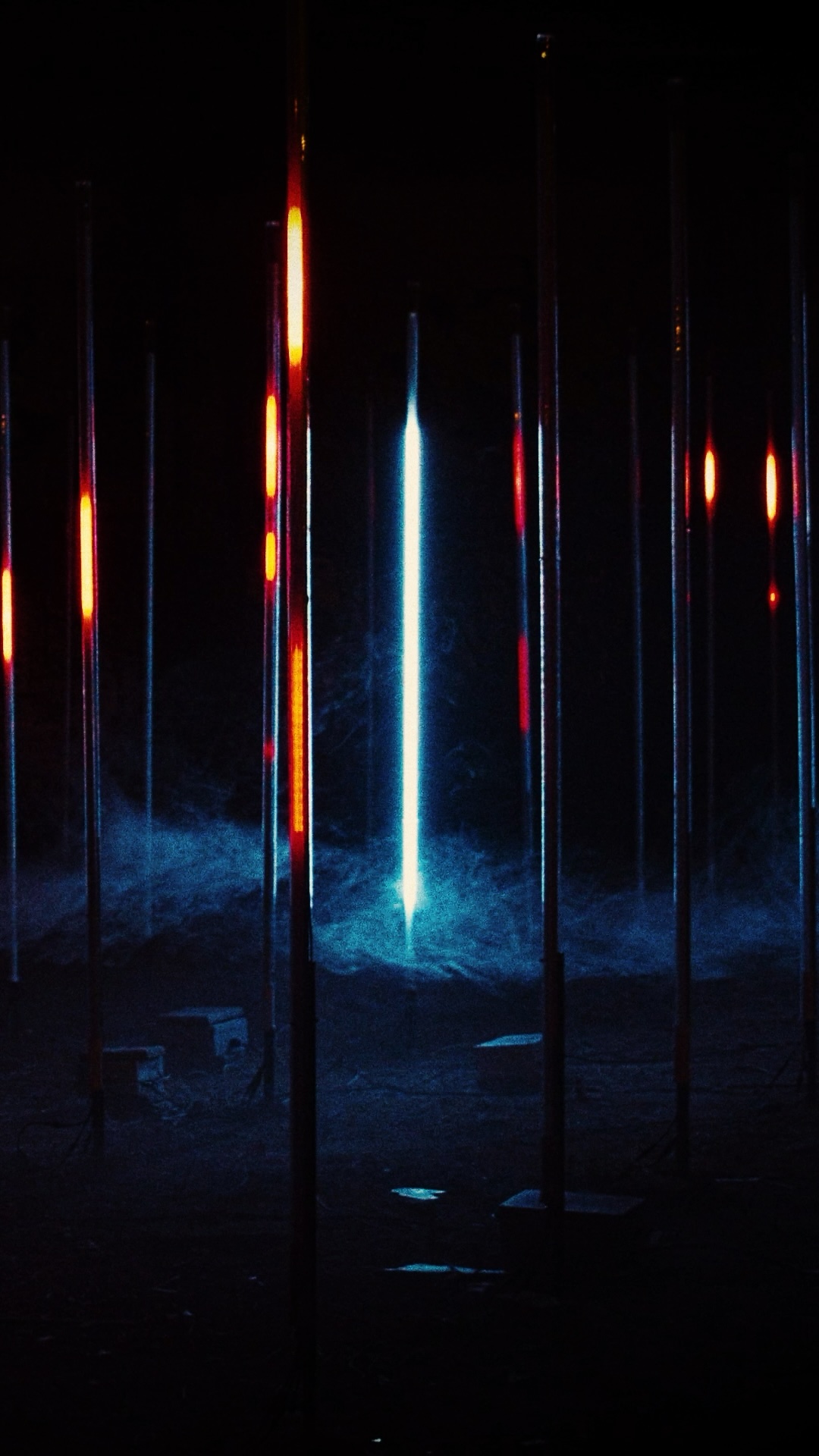 Drinks Upon Drinks / Video still - forest lighfall.