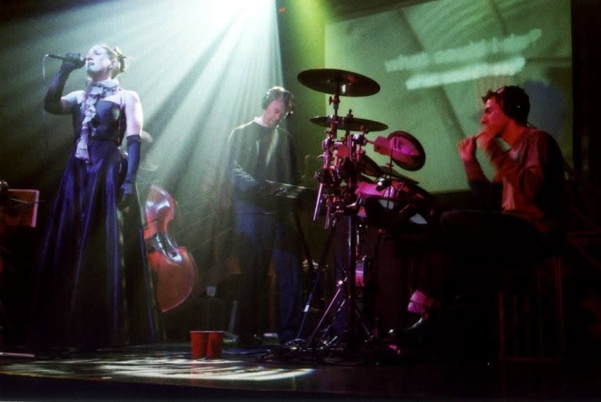 The Ratio of Freckles to Stars / Halou live at DNA Lounge 2005.
