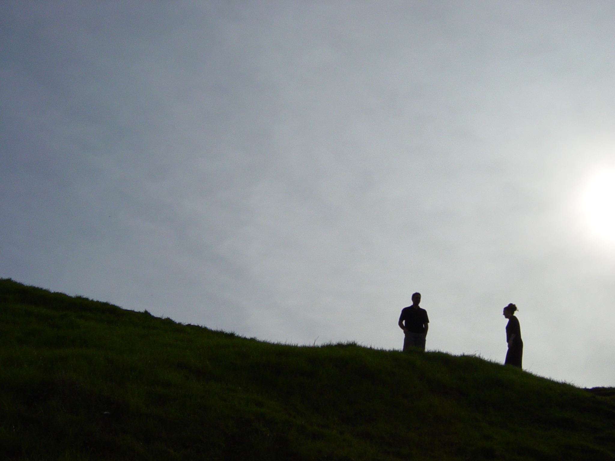 Wiser / DSC00271